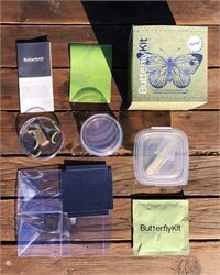 KIT ALLEVAMENTO FARFALLE